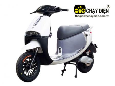 Xe máy điện TAILG F73