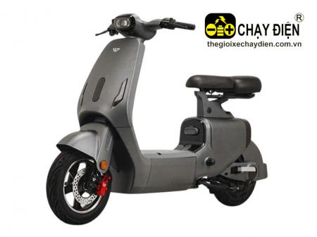 Xe điện V1 Plus Livo